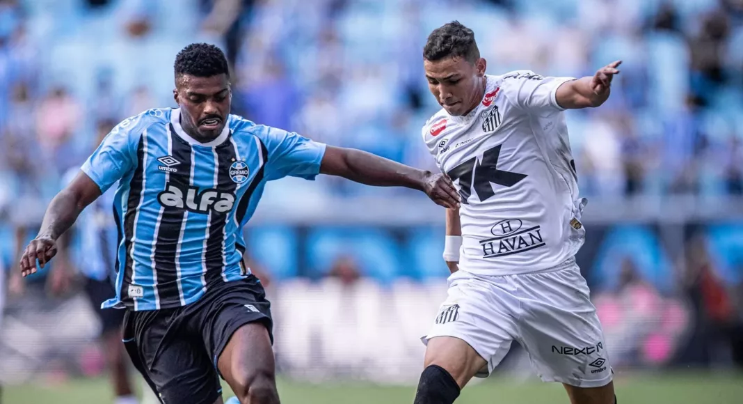 (Foto: Raul Baretta/Divulgação Santos)