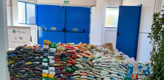 Os alimentos beneficiarão nove entidades sociais atendidas pelo Banco de Alimentos. (Foto: AI Fenachim)