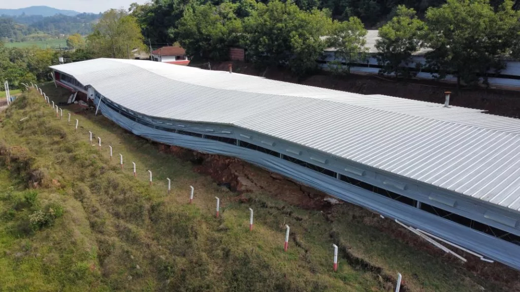 arte de aviário em Linha Arroio Grande cedeu após o excesso de chuva em 2024 (Foto: Renan Zarth/Terra FM) arte de aviário em Linha Arroio Grande cedeu após o excesso de chuva em 2024 (Foto: Renan Zarth/Terra FM)