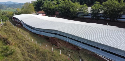 arte de aviário em Linha Arroio Grande cedeu após o excesso de chuva em 2024 (Foto: Renan Zarth/Terra FM)